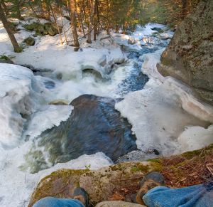 03  CR505--Bicknell-Brook-looking-DOWN.jpg
